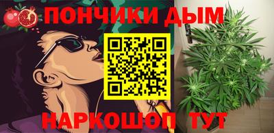 дмт Обь
