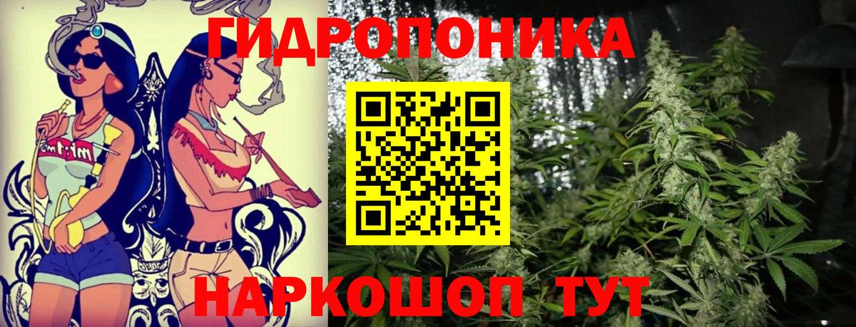 Похвистнево  Бошки марихуана конопля  Каннабис конопля  Вход с VPN 